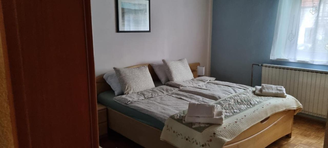 Apartma Zele *