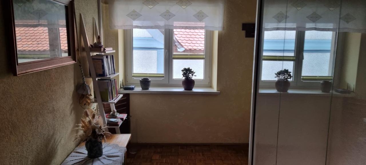 Apartma Zele