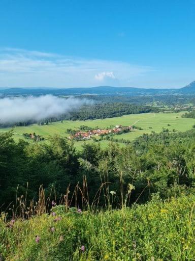 Appartement Apartma Zele *