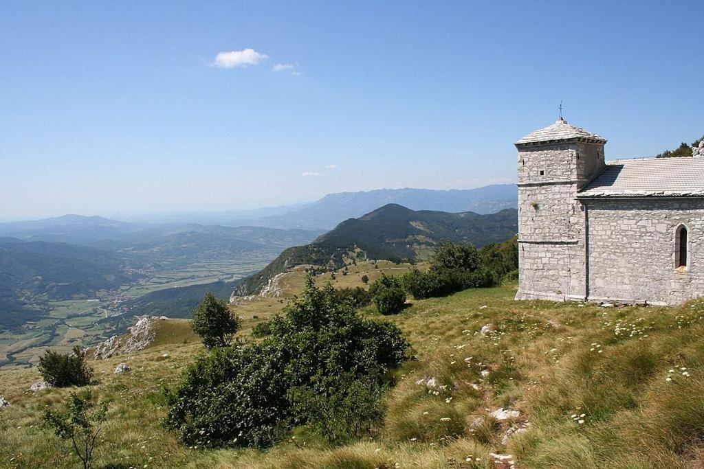 Apartma Zele *