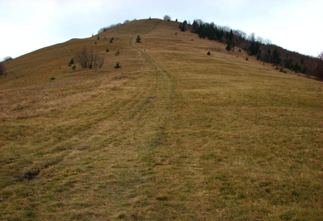 Apartma Zele