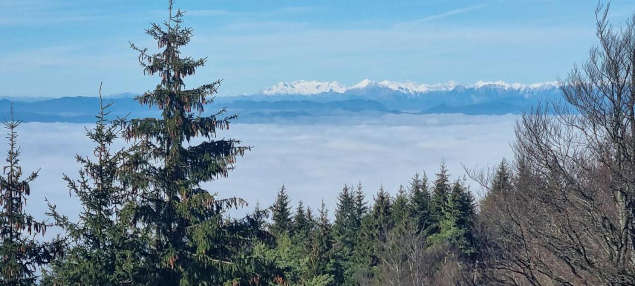Apartma Zele * Postojna