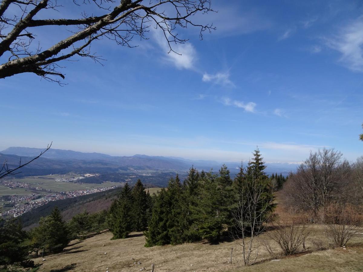 Appartement Apartma Zele *