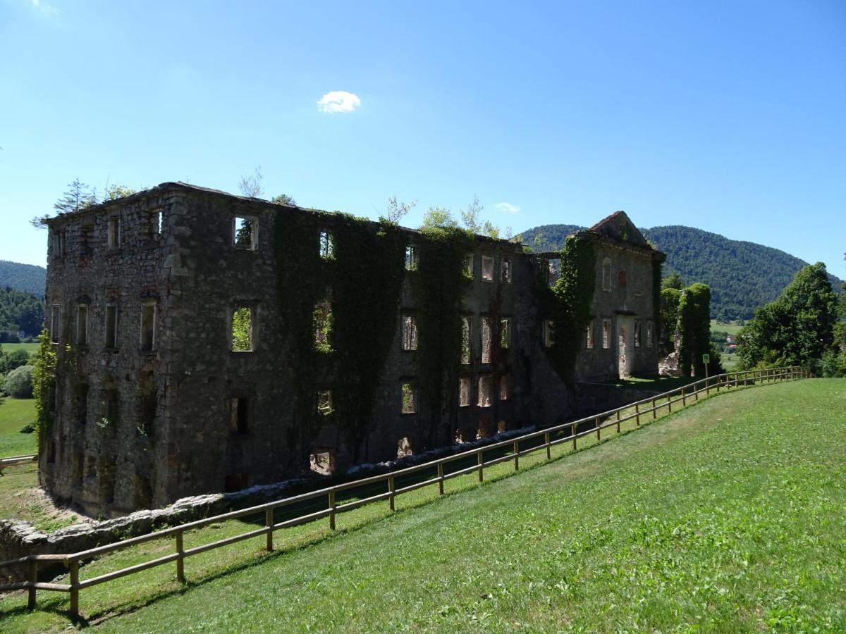 Apartma Zele Postojna