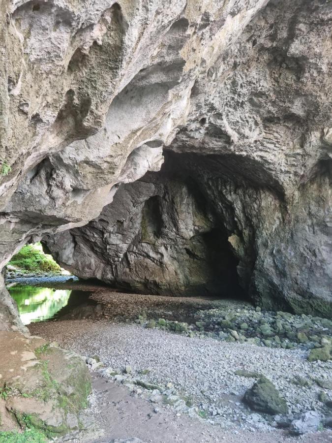 Apartma Zele Postojna